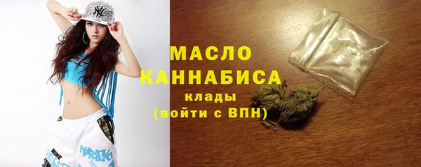 шишки Абаза