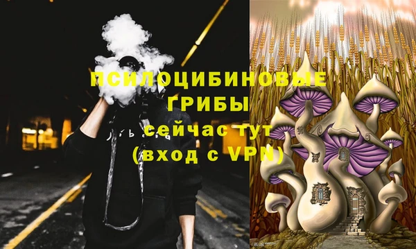 хмурый Протвино