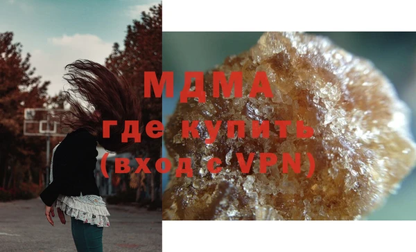 шишки Абаза